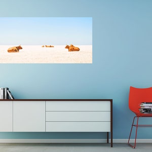 COW BEACH PRINT image 3