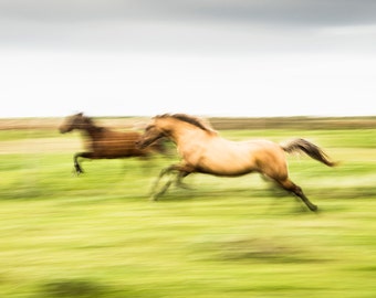 GALLOPING HORSES PRINT