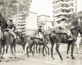 SPANISH HORSE PRINT