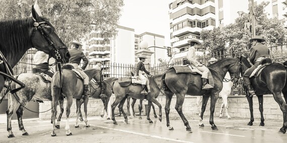 SPANISH HORSE PRINT