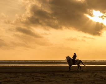 HORSE ON BEACH Print