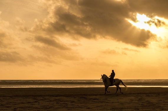 HORSE ON BEACH Print