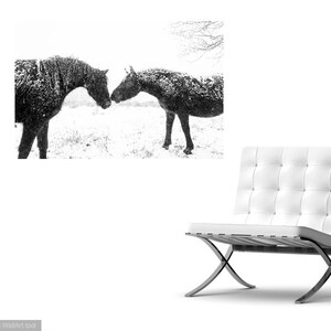Horse print,Snow Horses, New Forest Ponies, Animal Prints, Dorset Prints, Equine Photography, Black Horses image 4