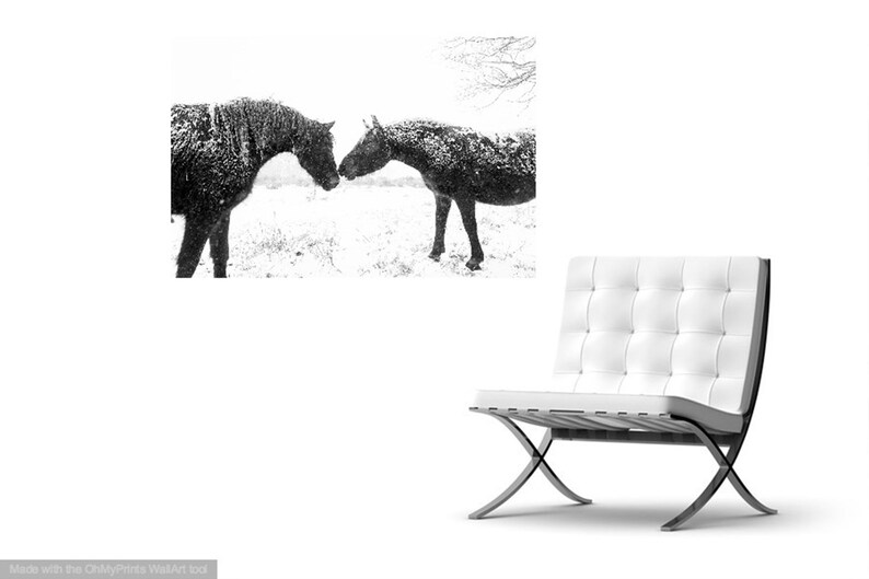 Horse print,Snow Horses, New Forest Ponies, Animal Prints, Dorset Prints, Equine Photography, Black Horses image 4