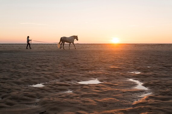 HORSE WALKING. Tarifa Print, Horse Photography, Animal Picture, Photographic Print, Travel Photography