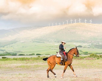 SPANISH HORSEMAN 3. Spanish Horse, Tarifa Picture, Equine Print, Photographic Print, Limited Edition Print, Wall Art