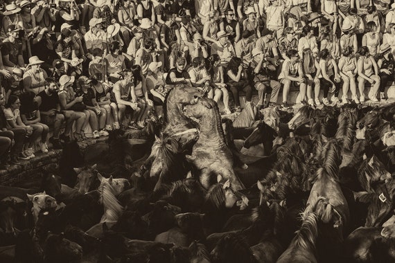 RAPA DAS BESTAS, Horse Prints, Equine Prints, Wild Horses, Horse Photography, Spanish Prints