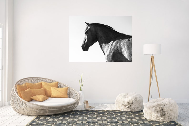 BLACK AND WHITE Horse Print, Large Horse Prints Etsy