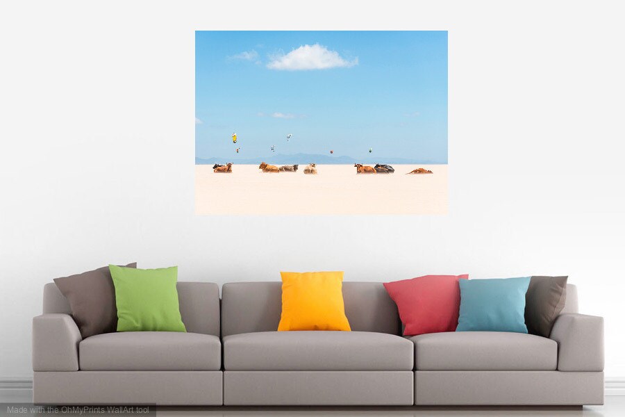 gallery photo
