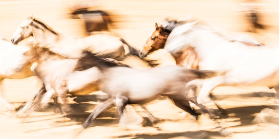 GALLOPING HORSES PRINT, Abstract Horse Print