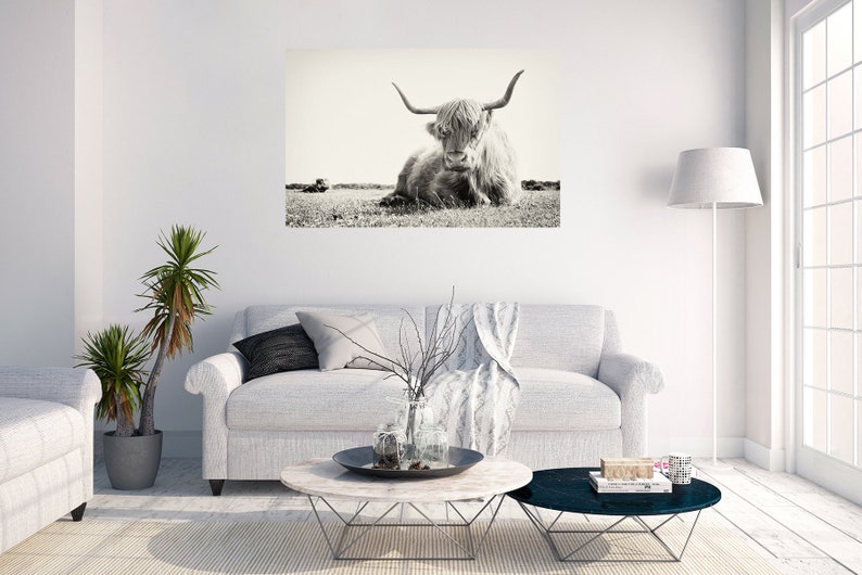 Impresión de vaca NEGRO Y BLANCO imagen 4