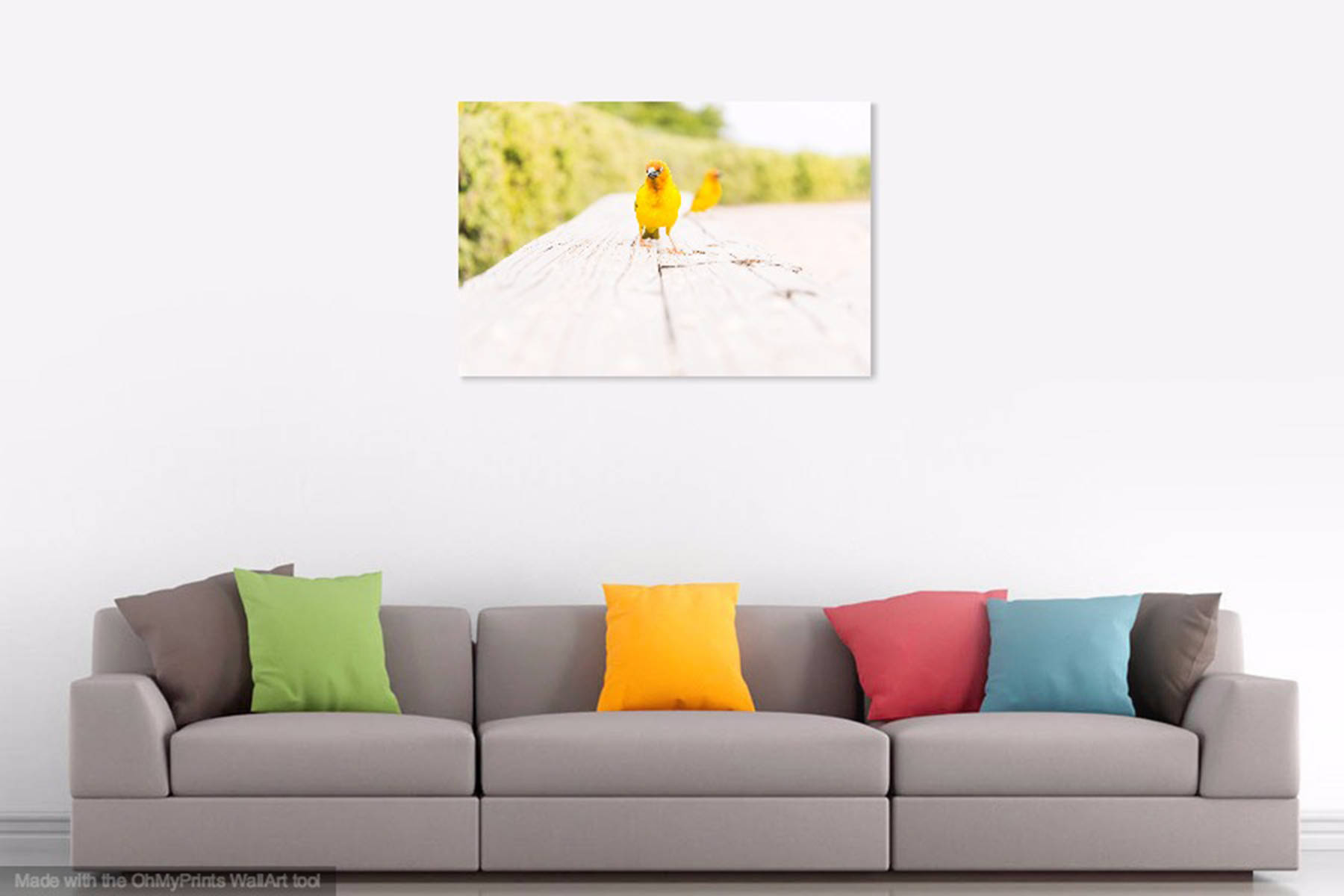 gallery photo