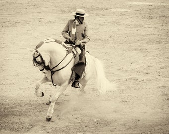 WHITE CHARGER 2. Horse Prints, Equine Prints, Spanish Prints, Monochrome Prints, Travel Prints, Large Prints