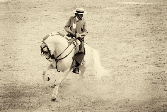 WHITE CHARGER 2. Horse Prints, Equine Prints, Spanish Prints, Monochrome Prints, Travel Prints, Large Prints