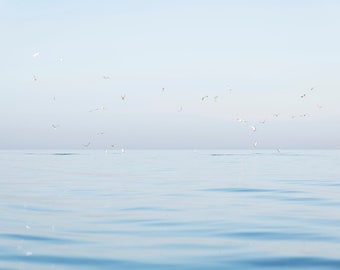 SEAGULLS AT SEA Print