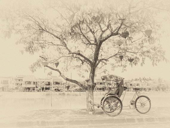 SEPIA TONED TREE Print