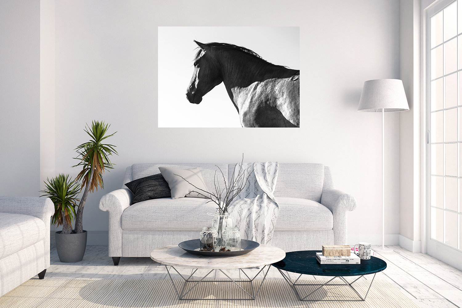 BLACK AND WHITE Horse Print, Large Horse Prints