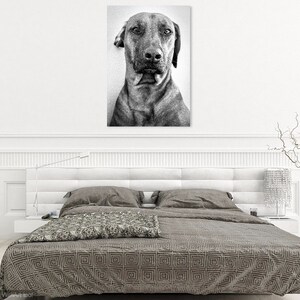 DOG PORTRAIT PRINT, Dog Wall Art, Animal Art image 2