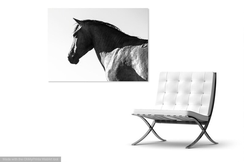 BLACK AND WHITE Horse Print, Large Horse Prints Etsy