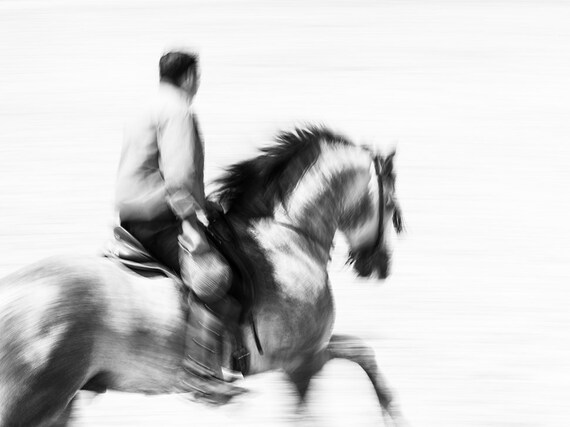 RIDING STRONG. galloping horse, spanish horse, black and white print, photographic print