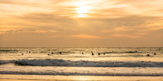 GOLDEN SEASCAPE PRINT