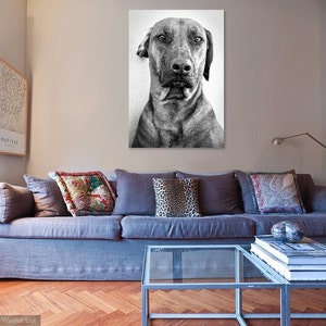 DOG PORTRAIT PRINT, Dog Wall Art, Animal Art image 4