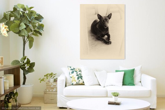 VIETNAM STORIES 2. Dog Photography, Animal Portrait, Vietnam, Sepia Tone Print, Photographic Print, Pet Picture