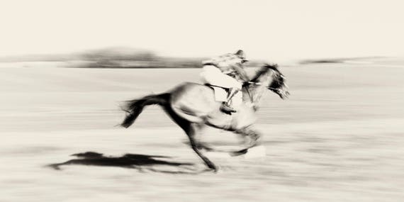 Horse Racing Prints, "Day At The Races", Horse Prints, Equine Prints, Black and White Prints, Horse Jumping Art, Animal Prints