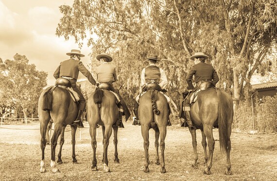 SPANISH HORSEMAN,equine print,photographic print,spanish horses,spanish cowboys,limited edition print