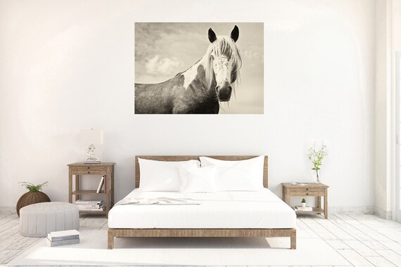 HANDSOME 2. Horse Prints, Equine Photography, Animal Photos, Black and White prints, Fine Art Photography, Monochrome Prints,