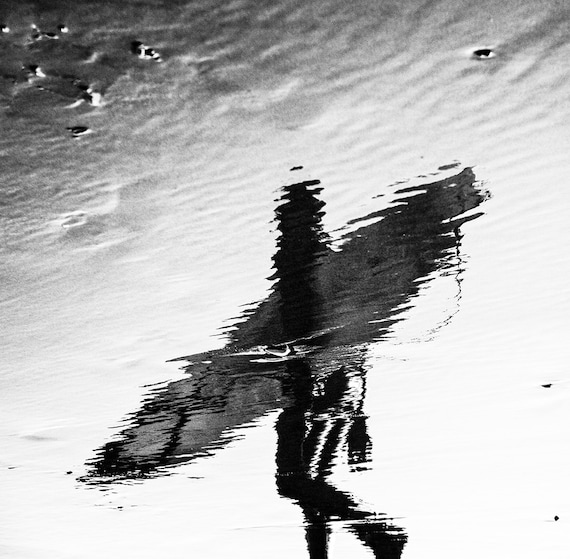 Reflected Surfer,black and white print,surfing print,limited edition print,monochrome print