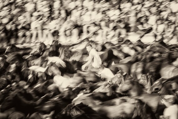 RAPA DAS BESTAS 2. Horse Print, Spanish Festival, Black and White, Equine Print, Travel Photography, Wild Horses
