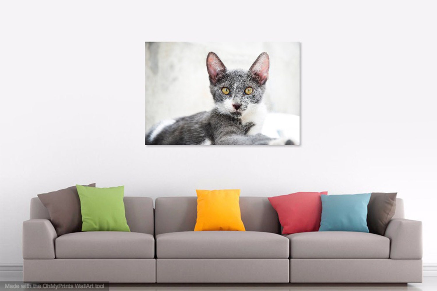gallery photo