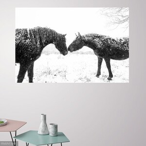 Horse print,Snow Horses, New Forest Ponies, Animal Prints, Dorset Prints, Equine Photography, Black Horses image 5