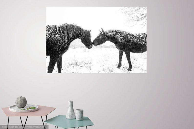 Horse print,Snow Horses, New Forest Ponies, Animal Prints, Dorset Prints, Equine Photography, Black Horses image 5