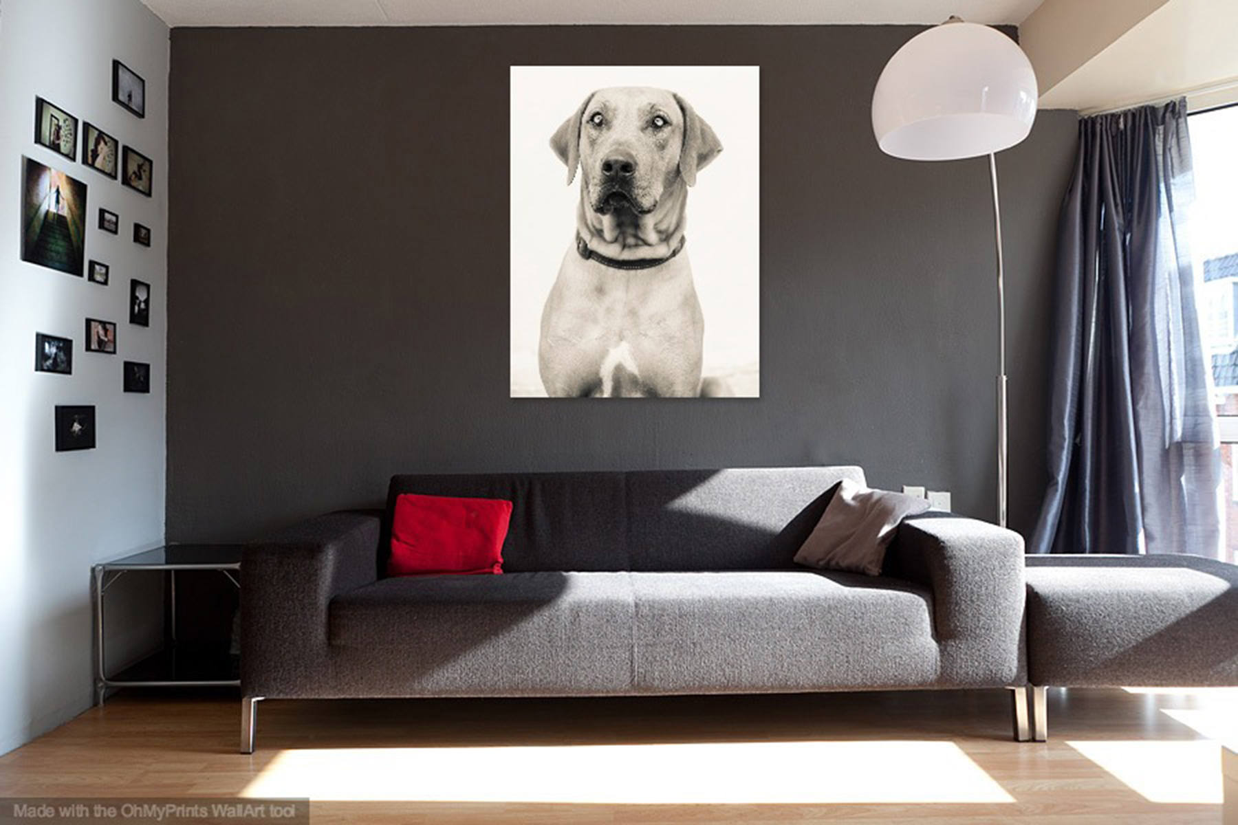 gallery photo