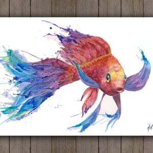 Watercolour Art Print - Koi Fish Swimming / Red Rainbow Tropical Fish / Splatter Handpainted Watercolor Painting / Bright Ocean Art