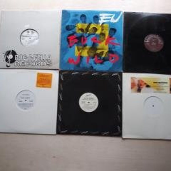 DJ Mixing Records,12 inch single .Hip Hop, Soul, R&B, Rap.Promo EPs.Roc-A-Fella,Def Jams, Relativity,Priority Dreamscape, LaFace,Bad Boy.