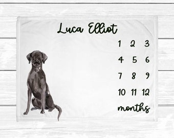 Labrador Retriever Monthly Baby Milestone Blanket - Lab Monthly Milestone Blanket - Dog Nursery Decor - Baby Age Blanket - Baby Shower Gift