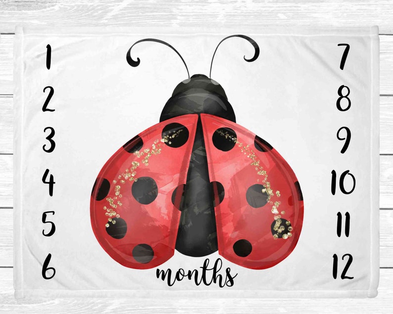 Ladybug Milestone Blanket Milestone Blanket Girl Ladybug Etsy