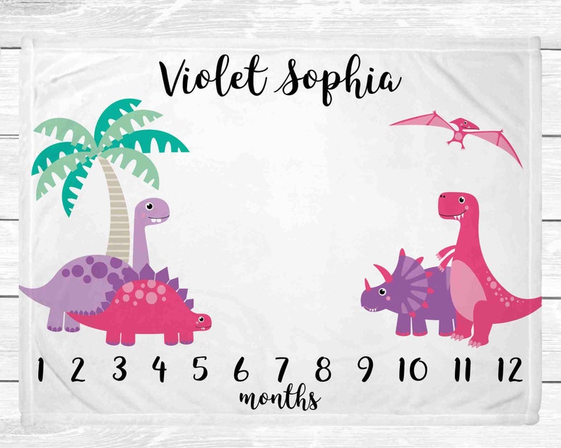 Monthly Baby Milestone Blanket Dinosaur Purple and Pink Etsy