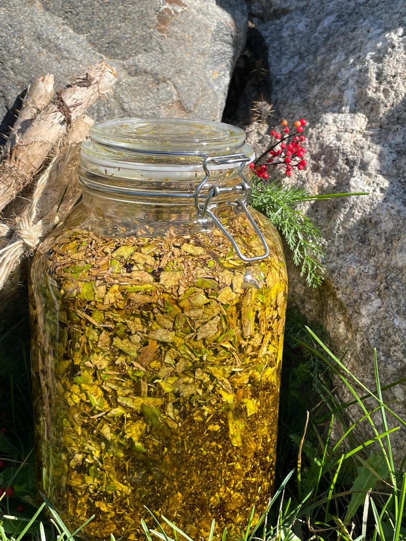 K&ouml;nnte beinhalten: Ein klares Glasgef&auml;&szlig; mit einem Metallb&uuml;gelverschluss, gef&uuml;llt mit einer Mischung aus gehackten gr&uuml;nen und braunen getrockneten Kr&auml;utern, die in goldenem &Ouml;l eingelegt sind. Das Glas steht im Freien, umgeben von nat&uuml;rlichen Elementen wie Steinen.