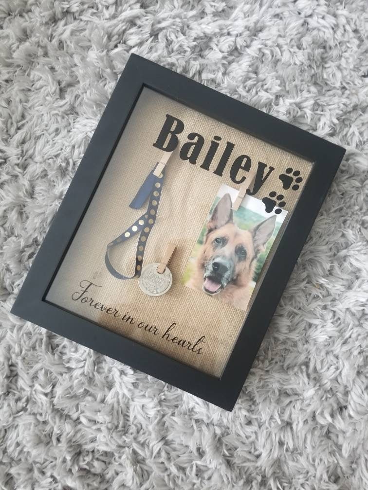 Custom Pet Memorial Shadow Box With Name 8x10 Dog Or Cat Etsy