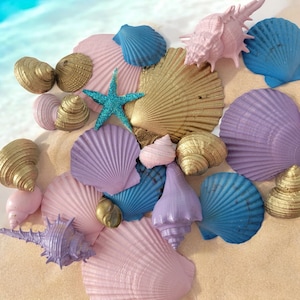 Op de afbeelding: Een verzameling schelpen in verschillende kleuren en vormen, waaronder paars, blauw, goud en roze. De schelpen zijn gerangschikt op een wit zand oppervlak.
