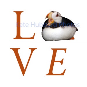 Macareux moine LOVE de Kate Hubbard