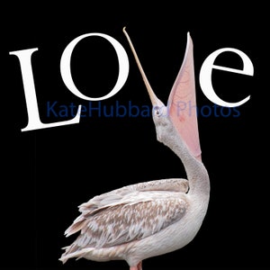 Pelikan LOVE von Kate Hubbard