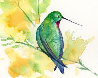Hummingbird Watercolor Painting 5x7, Original Bird Art
