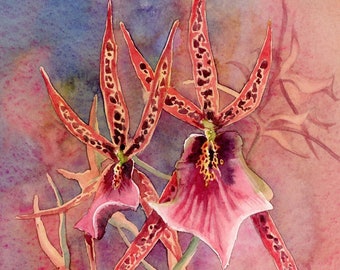 Original Watercolor Orchid Painting