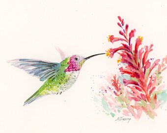 Hummingbird and red flowers, original watercolor art