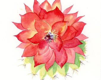 Cactus flower, original art, watercolor, Arizona artist
